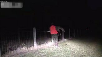 Спас застрявшего оленёнка - смотреть видео (3:17)