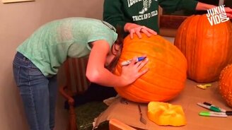 Лучшие курьёзы октября 2016 года - смотреть видео (8:37)