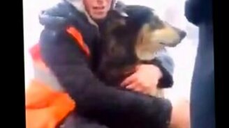 Ребята спасают собаку - смотреть видео (2:16)