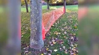 Чем занять пса на прогулке - смотреть видео (0:26)