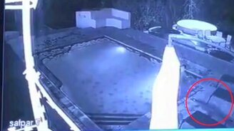 Крокодил атакует в бассейне - смотреть видео (0:47)