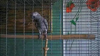 Маруся знает... - смотреть видео (1:32)