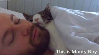 Кот спит с хозяином - смотреть видео (0:49)