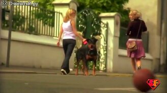 Кармические приколы - смотреть видео (5:24)