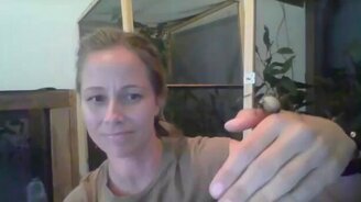 Бесстрашная любительница пауков - смотреть видео (0:46)