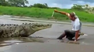 Смельчак кормит крокодила - смотреть видео (0:28)