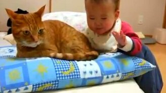 Малышка и кошачий хвост - смотреть видео (1:14)