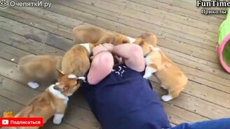 Забавности в сборке - смотреть видео (10:03)