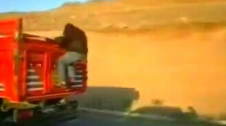 Как украсть овцу - смотреть видео (0:31)