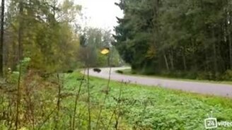 Как надо правильно переходить проезжую часть - смотреть видео (0:32)