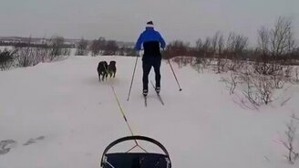 Обгон справа запрещён! - смотреть видео (0:20)