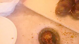 На рыбалке с ондатрой - смотреть видео (1:44)