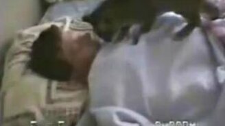 Кот будильник - смотреть видео (0:54)