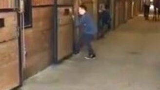 Мальчик против упрямого коня - смотреть видео (0:32)