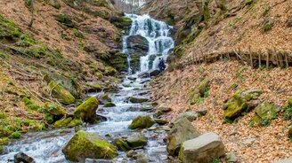 Природа Карпат - смотреть видео (3:48)