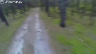 Реакции на медведя: Америка и Россия - смотреть видео (0:45)