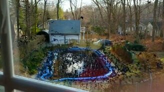 Птицы атакуют бассейн - смотреть видео (0:26)