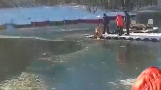 Спасение собаки из ледяной реки - смотреть видео (1:15)