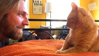 Смешноролики в подборке - смотреть видео (8:49)