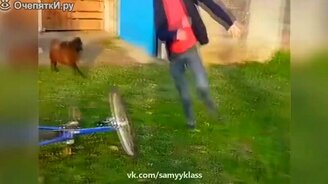 Сборка прикольных мгновений и курьёзов - смотреть видео (5:30)