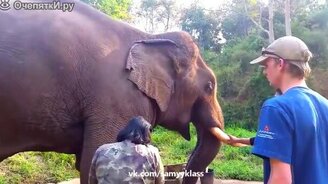 Радующие глаз приколы - смотреть видео (5:50)