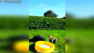 Сборка весёлых моментов - смотреть видео (5:04)