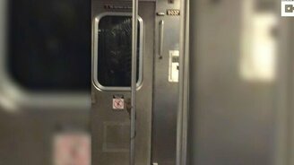 Крыса танцует на шесте - смотреть видео (0:56)