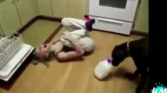 Приколы на кухне - смотреть видео (4:04)