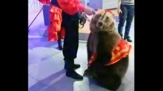 Дурёха испугала медведя - смотреть видео (2:07)