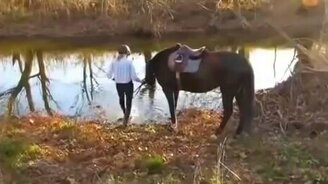 Лошадь впервые видит реку - смотреть видео (2:20)