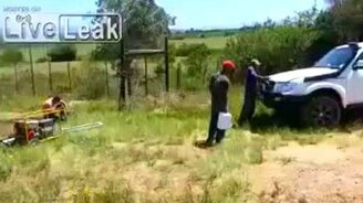 Осторожно, змея под капотом! - смотреть видео (0:35)