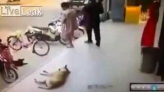 Обидел пса - получи по заслугам - смотреть видео (0:23)