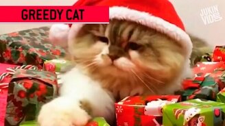 Сборник приколов декабря 2016 года - смотреть видео (9:21)