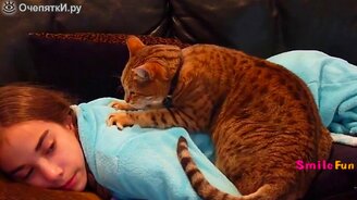 Одни из лучших кошачьих приколов - смотреть видео (5:11)