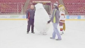 Непроста участь белого мишки - смотреть видео (1:30)