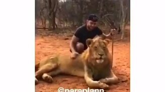 Проверка на смелость - смотреть видео (0:20)