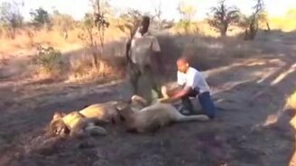 Да я просто чихнул! - смотреть видео (0:45)