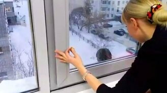 Ворона-воровка - смотреть видео (1:35)