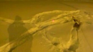 Пёсик против лазера и сугробов - смотреть видео (0:56)