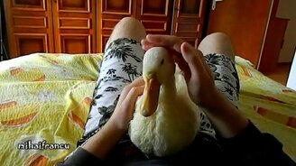 Один день из жизни домашней утки - смотреть видео (2:23)