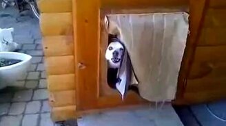 Охранник из преисподней - смотреть видео (1:22)