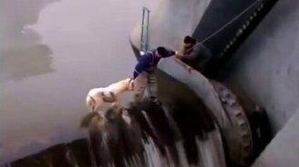 Рискованное спасение собаки - смотреть видео (5:10)