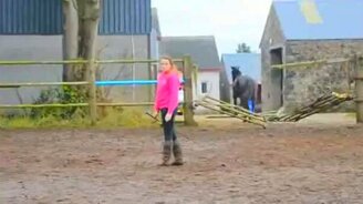 Лошадь решила сбежать - смотреть видео (0:24)