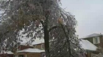 Последствия ледяного шторма - смотреть видео (1:50)