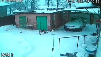 Снег прогнул крышу гаража - смотреть видео (1:06)