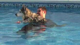 Вода исцелила собаку - смотреть видео (0:57)