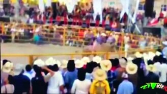 Бык вырвался из круга - смотреть видео (1:19)