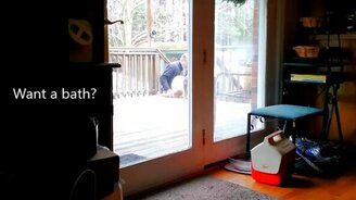 Только не купаться! - смотреть видео (0:18)