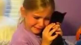 Мне подарили котёнка! - смотреть видео (1:06)