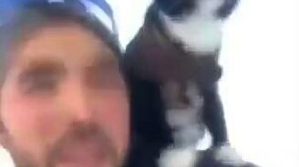 На санках с кошкой - смотреть видео (0:33)